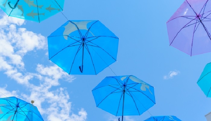 6月の医院からのお知らせ