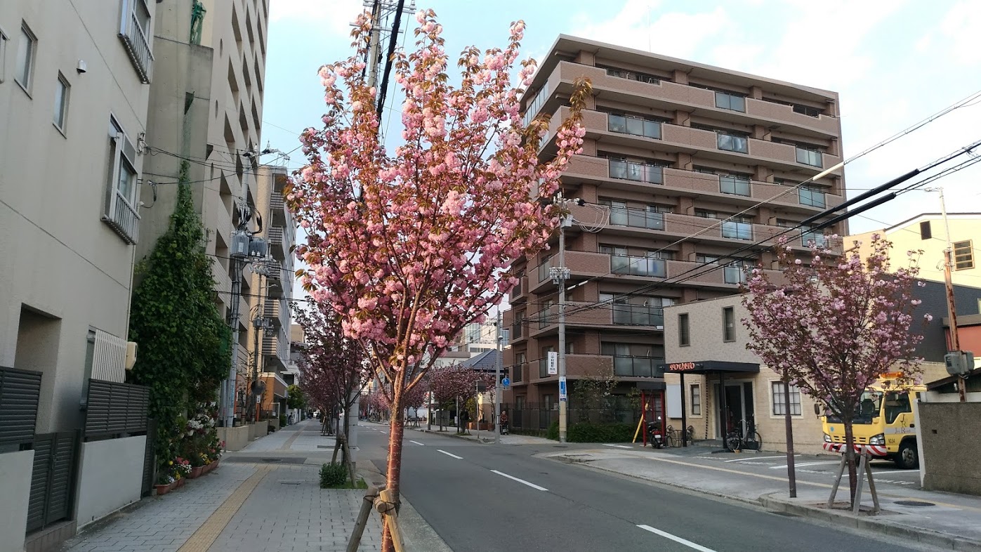 4月27日(金)院内勉強会のため、午後の診療は15:00～となります。