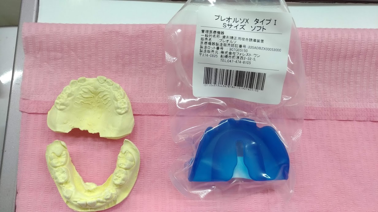 今週のプレオルソお友だち~190615~