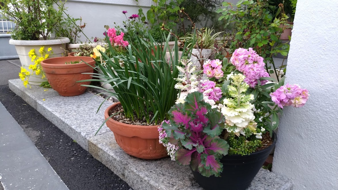 4月・5月の診療スケジュール
