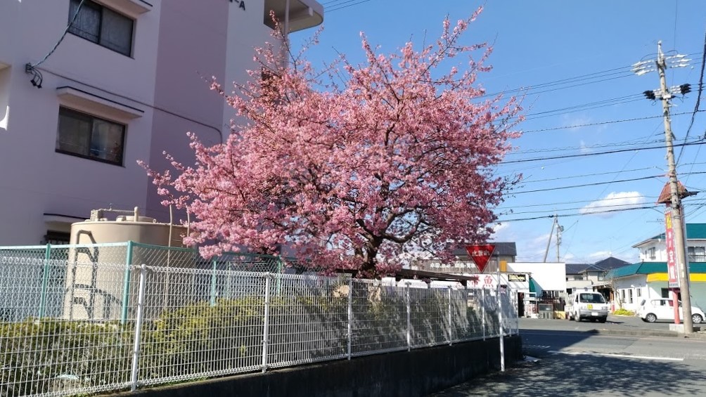 3月の医院からのお知らせ