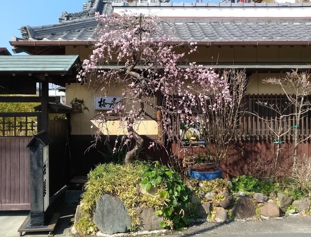 3月・4月の診療スケジュール