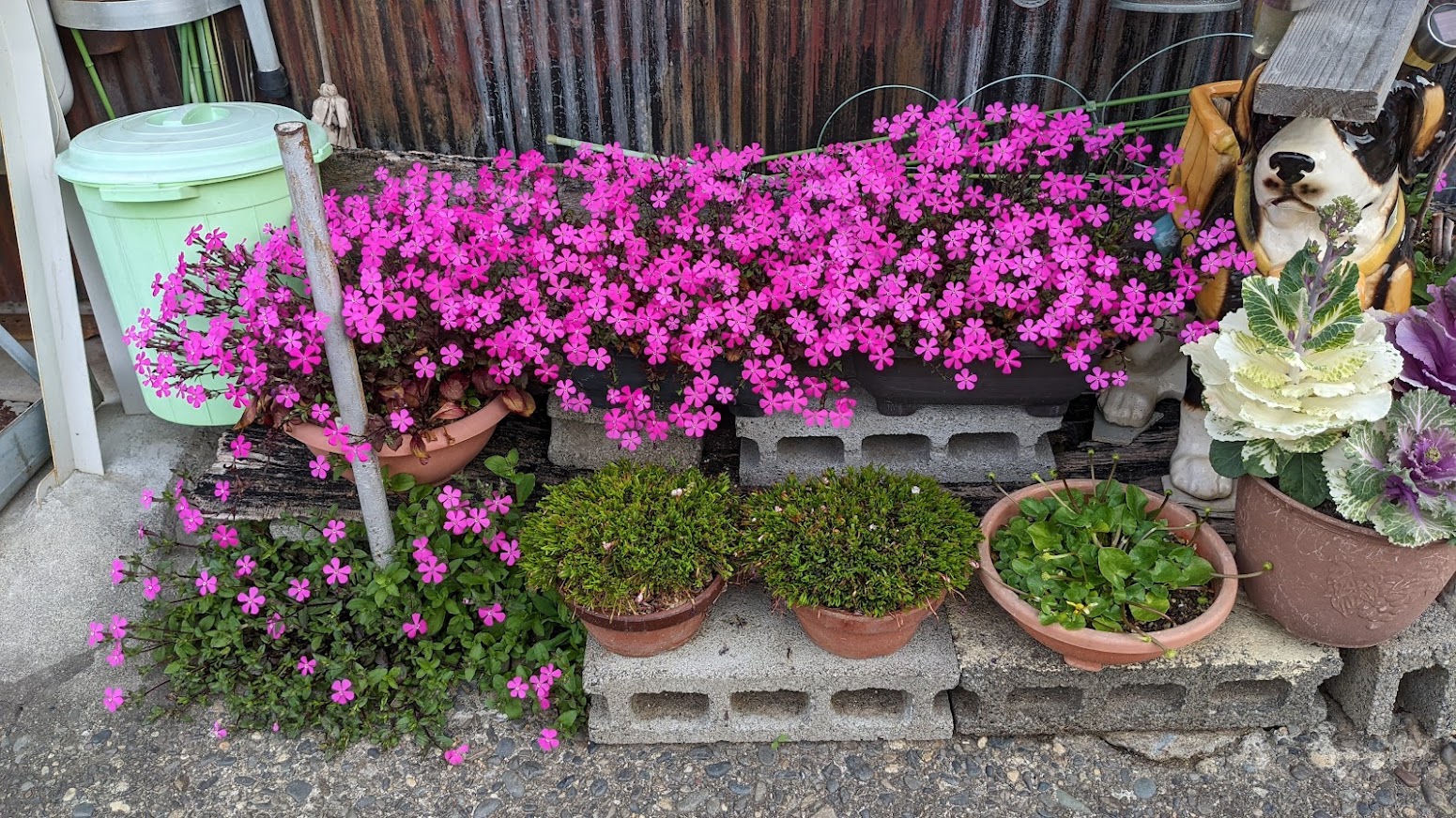 4月の医院からのお知らせ