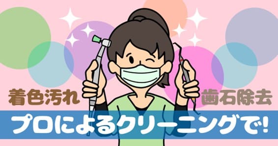 静岡県周智郡仲町歯科医院5月のブログ_プロによるクリーニング