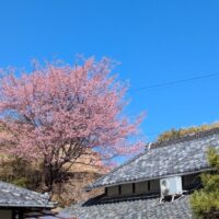 3月診察スケジュール