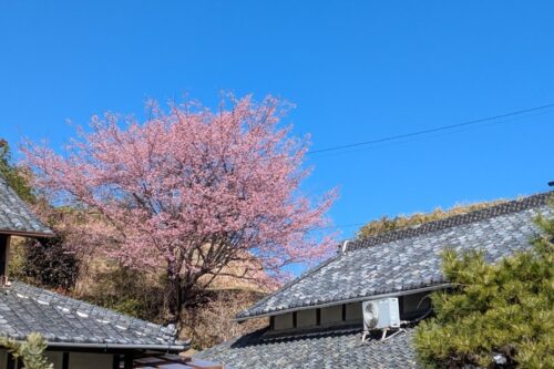 3月診察スケジュール