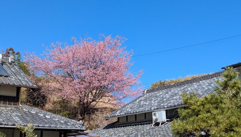 3月診察スケジュール