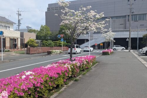 5月診察スケジュール