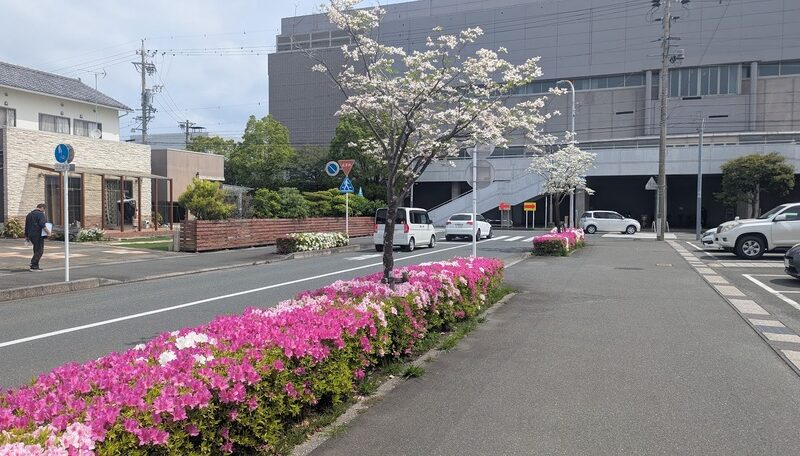 5月診察スケジュール