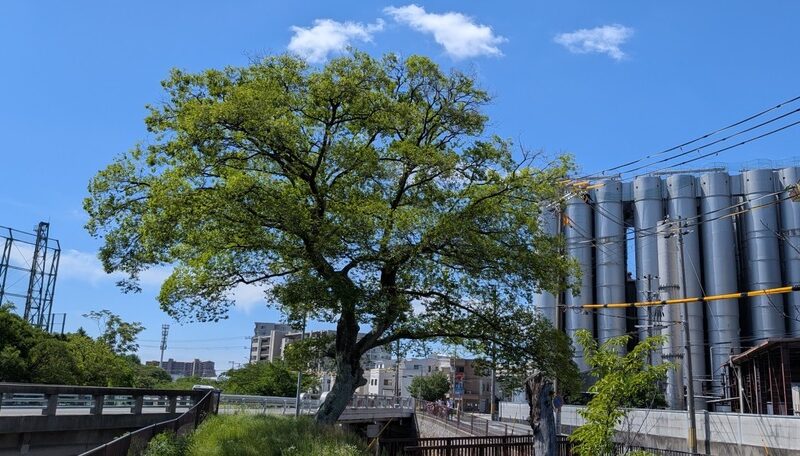7月8月お知らせ