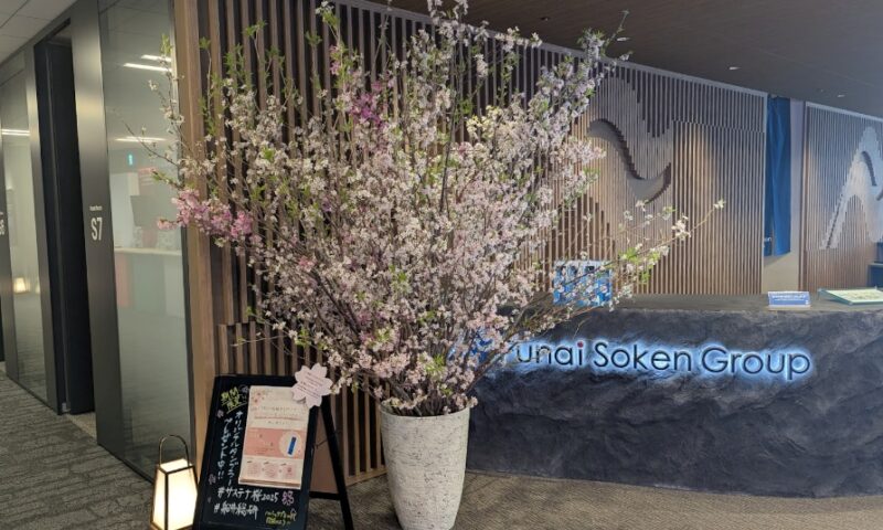 満開の桜