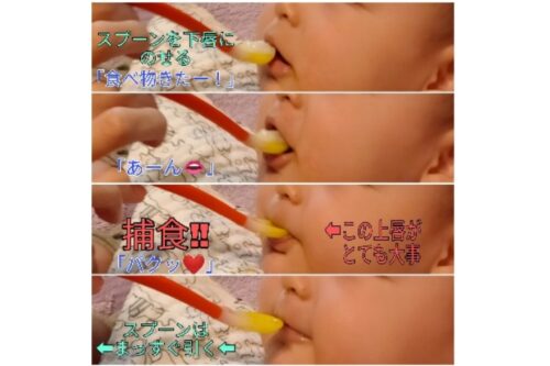 離乳食の食べさせ方