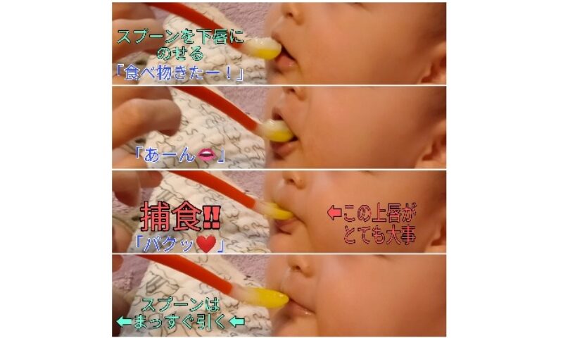 離乳食の食べさせ方