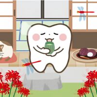 お彼岸の時期に縁側でお茶を飲む歯のイラスト