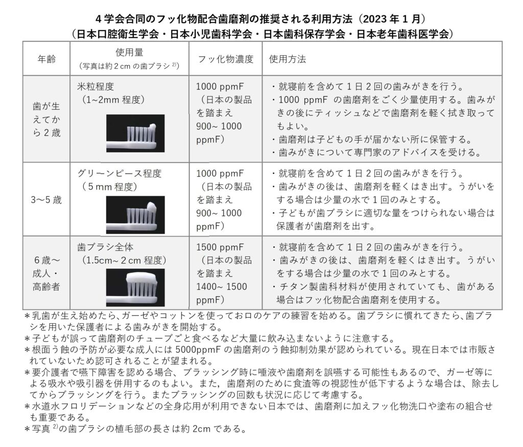 歯磨剤の利用方法